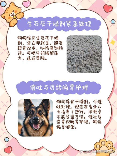 狗狗吃了香皂怎么办_狗狗偷吃了香皂