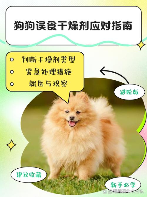 狗狗吃了香皂怎么办_狗狗偷吃了香皂-第4张图片-后鲨宠物