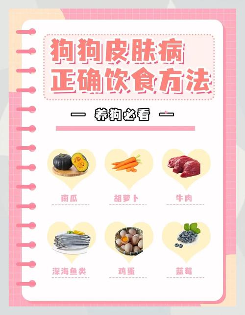 狗狗皮肤病不能吃什么_狗狗皮肤病不能吃什么肉-第4张图片-后鲨宠物 狗狗皮肤病不能吃什么_狗狗皮肤病不能吃什么肉-第4张图片-后鲨宠物
