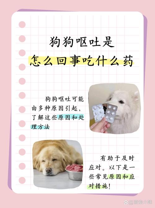 狗狗喝了酒怎么办_狗如果喝了酒会怎样-第5张图片-后鲨宠物 狗狗喝了酒怎么办_狗如果喝了酒会怎样-第5张图片-后鲨宠物