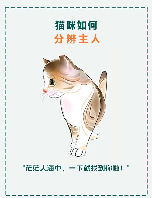 猫咪靠什么分辨主人_猫咪靠什么分辨主人怀孕-第3张图片-后鲨宠物 猫咪靠什么分辨主人_猫咪靠什么分辨主人怀孕-第3张图片-后鲨宠物
