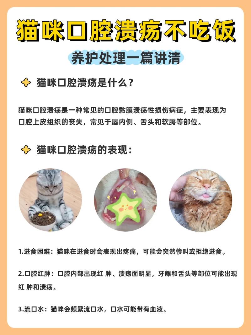 猫咪口腔溃疡怎么办_猫咪口腔溃疡怎么办最快最-第1张图片-后鲨宠物 猫咪口腔溃疡怎么办_猫咪口腔溃疡怎么办最快最-第1张图片-后鲨宠物