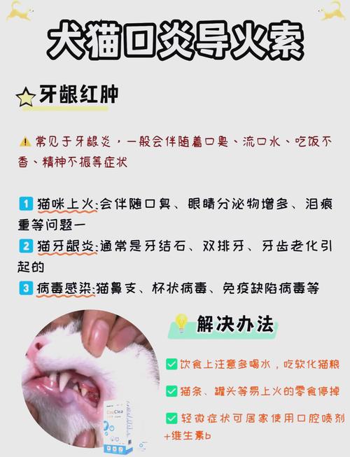 猫咪口腔溃疡怎么办_猫咪口腔溃疡怎么办最快最-第2张图片-后鲨宠物 猫咪口腔溃疡怎么办_猫咪口腔溃疡怎么办最快最-第2张图片-后鲨宠物