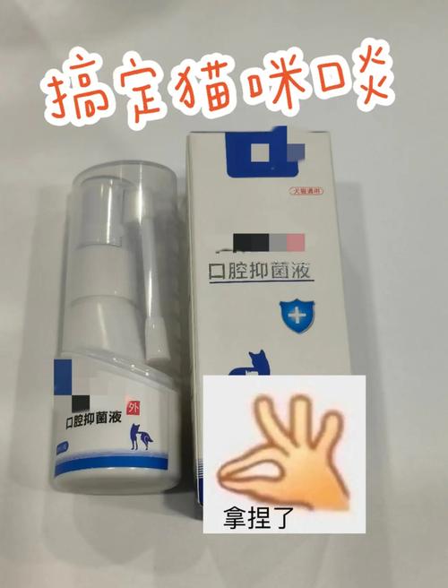 猫咪口腔溃疡怎么办_猫咪口腔溃疡怎么办最快最-第3张图片-后鲨宠物 猫咪口腔溃疡怎么办_猫咪口腔溃疡怎么办最快最-第3张图片-后鲨宠物