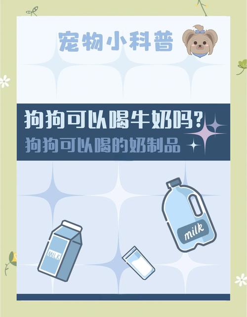  狗狗可不可以喝牛奶，狗狗可不可以喝牛奶纯牛奶