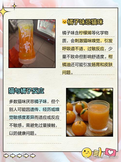 猫咪能吃橙子吗_猫咪能吃橙子吗?-第5张图片-后鲨宠物 猫咪能吃橙子吗_猫咪能吃橙子吗?-第5张图片-后鲨宠物