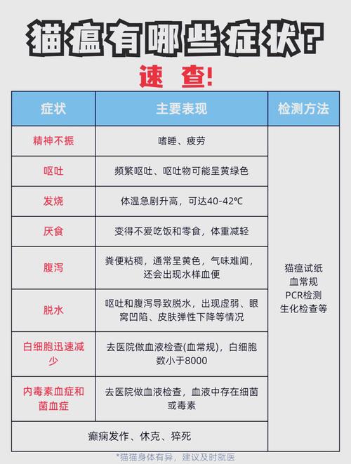 猫咪会得细小吗_猫会不会感染细小病毒-第2张图片-后鲨宠物 猫咪会得细小吗_猫会不会感染细小病毒-第2张图片-后鲨宠物