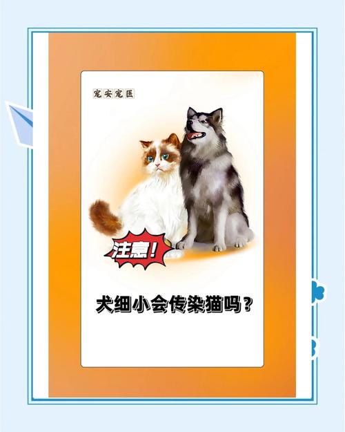 猫咪会得细小吗_猫会不会感染细小病毒-第4张图片-后鲨宠物 猫咪会得细小吗_猫会不会感染细小病毒-第4张图片-后鲨宠物