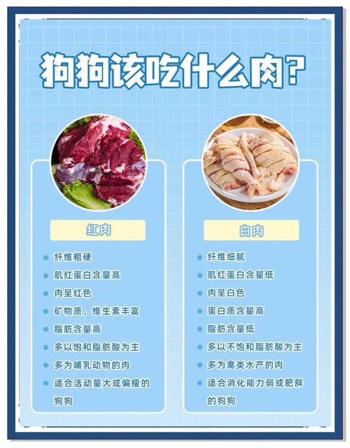 狗狗吃什么肉好,狗狗吃什么肉好又便宜又好养-第2张图片-后鲨宠物 狗狗吃什么肉好,狗狗吃什么肉好又便宜又好养-第2张图片-后鲨宠物