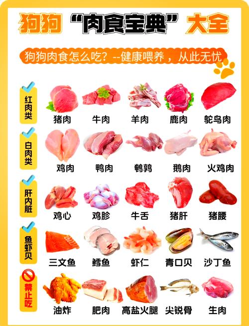 狗狗吃什么肉好,狗狗吃什么肉好又便宜又好养-第3张图片-后鲨宠物 狗狗吃什么肉好,狗狗吃什么肉好又便宜又好养-第3张图片-后鲨宠物