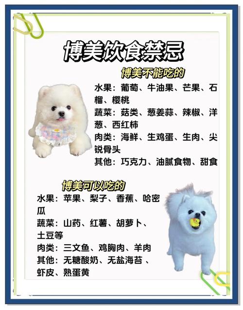 狗狗吃什么肉好,狗狗吃什么肉好又便宜又好养-第5张图片-后鲨宠物 狗狗吃什么肉好,狗狗吃什么肉好又便宜又好养-第5张图片-后鲨宠物