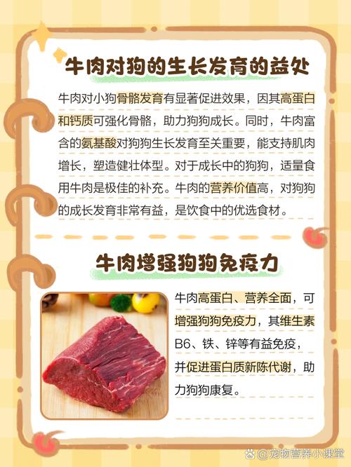 狗狗吃什么肉好,狗狗吃什么肉好又便宜又好养-第6张图片-后鲨宠物 狗狗吃什么肉好,狗狗吃什么肉好又便宜又好养-第6张图片-后鲨宠物