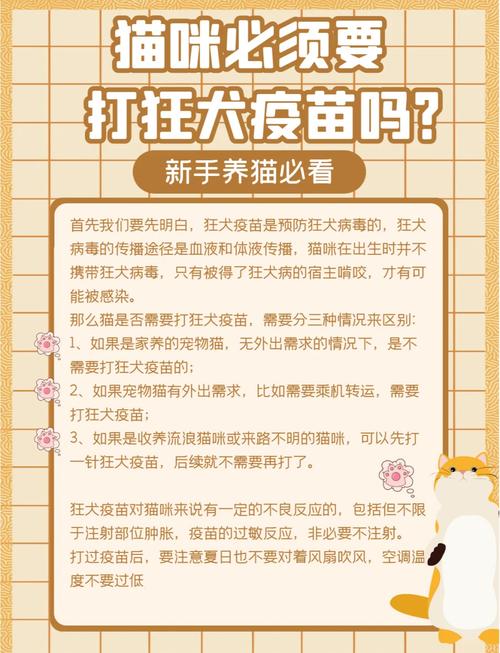 猫咪打了狂犬疫苗,猫咪打了狂犬疫苗多久可以洗澡?-第2张图片-后鲨宠物 猫咪打了狂犬疫苗,猫咪打了狂犬疫苗多久可以洗澡?-第2张图片-后鲨宠物