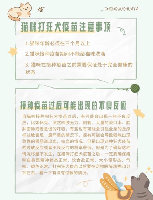 猫咪打了狂犬疫苗,猫咪打了狂犬疫苗多久可以洗澡?-第6张图片-后鲨宠物 猫咪打了狂犬疫苗,猫咪打了狂犬疫苗多久可以洗澡?-第6张图片-后鲨宠物
