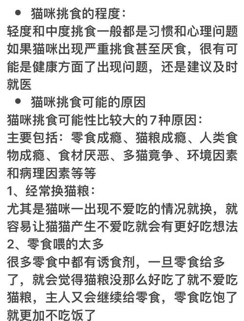 猫咪不想吃东西怎么办,猫咪不想吃东西怎么办呢?-第1张图片-后鲨宠物 猫咪不想吃东西怎么办,猫咪不想吃东西怎么办呢?-第1张图片-后鲨宠物