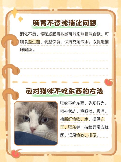 猫咪不想吃东西怎么办,猫咪不想吃东西怎么办呢?-第6张图片-后鲨宠物 猫咪不想吃东西怎么办,猫咪不想吃东西怎么办呢?-第6张图片-后鲨宠物