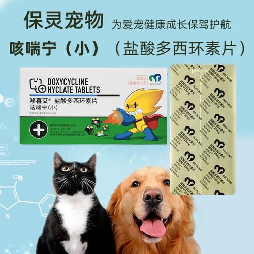 小狗狗咳嗽吃什么药,小狗狗感冒咳嗽吃什么药-第3张图片-后鲨宠物 小狗狗咳嗽吃什么药,小狗狗感冒咳嗽吃什么药-第3张图片-后鲨宠物