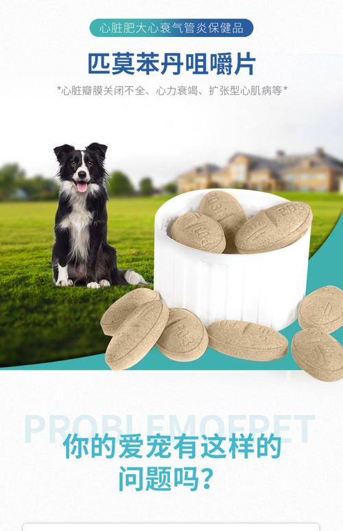 小狗狗咳嗽吃什么药,小狗狗感冒咳嗽吃什么药-第6张图片-后鲨宠物 小狗狗咳嗽吃什么药,小狗狗感冒咳嗽吃什么药-第6张图片-后鲨宠物