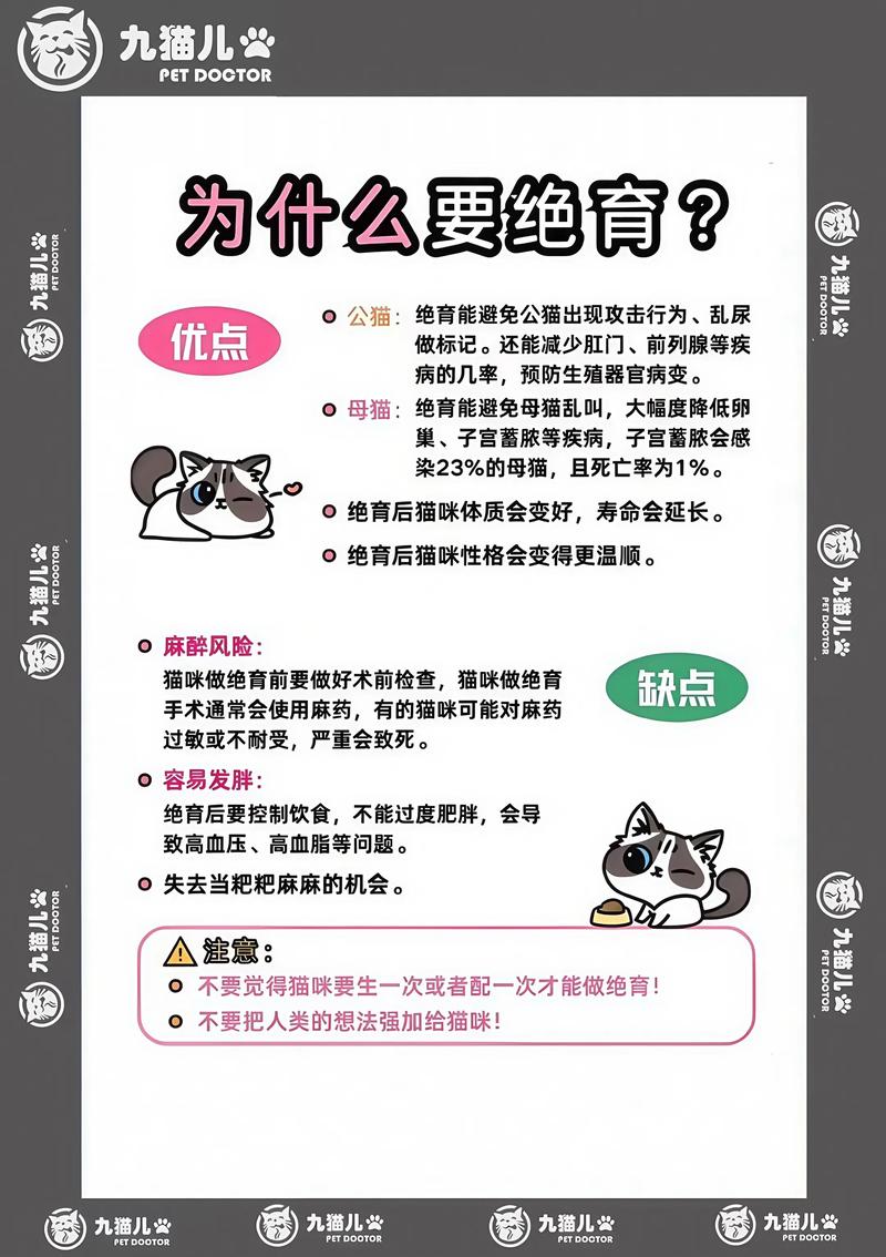 为什么要给猫咪做绝育,为啥要给猫猫做绝育-第3张图片-后鲨宠物 为什么要给猫咪做绝育,为啥要给猫猫做绝育-第3张图片-后鲨宠物