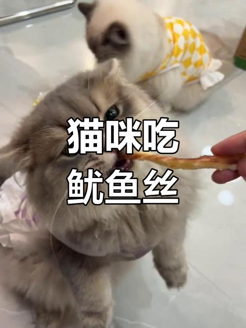 猫咪能吃鱿鱼丝吗,能给猫吃鱿鱼丝吗?-第4张图片-后鲨宠物 猫咪能吃鱿鱼丝吗,能给猫吃鱿鱼丝吗?-第4张图片-后鲨宠物