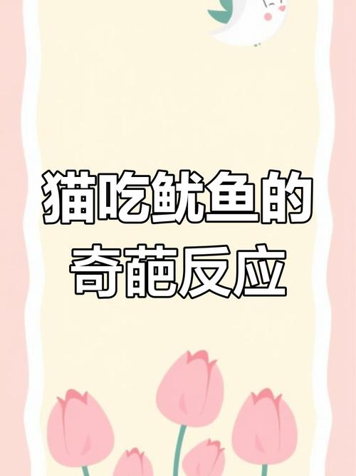 猫咪能吃鱿鱼丝吗,能给猫吃鱿鱼丝吗?-第5张图片-后鲨宠物 猫咪能吃鱿鱼丝吗,能给猫吃鱿鱼丝吗?-第5张图片-后鲨宠物