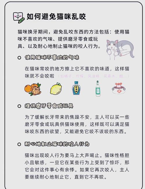 猫咪换牙期注意事项,猫咪换牙期会持续多久?-第3张图片-后鲨宠物 猫咪换牙期注意事项,猫咪换牙期会持续多久?-第3张图片-后鲨宠物