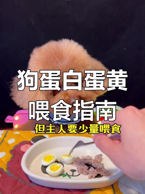 狗狗不能吃蛋白吗_狗狗不能吃蛋白么