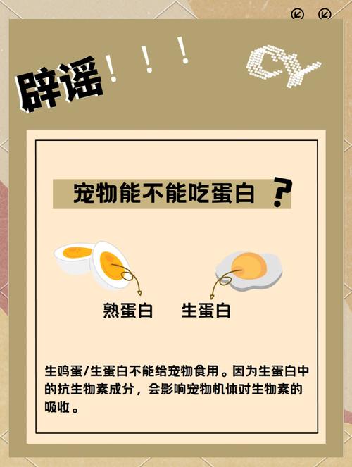 狗狗不能吃蛋白吗_狗狗不能吃蛋白么-第3张图片-后鲨宠物