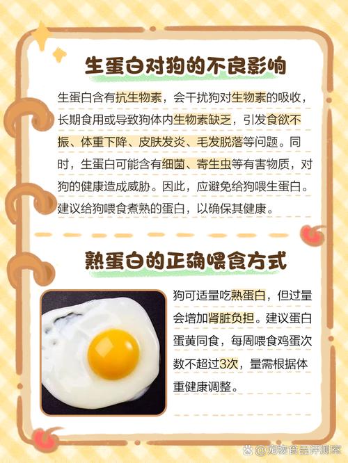 狗狗不能吃蛋白吗_狗狗不能吃蛋白么-第5张图片-后鲨宠物