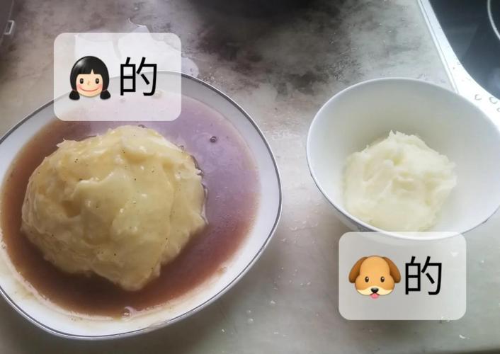 狗狗可以吃土豆泥吗_狗能吃土豆泥沙拉吗