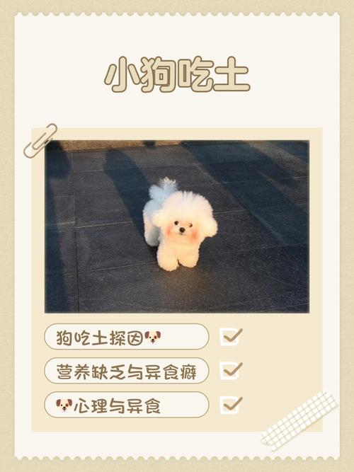 狗狗可以吃土豆泥吗_狗能吃土豆泥沙拉吗-第5张图片-后鲨宠物 狗狗可以吃土豆泥吗_狗能吃土豆泥沙拉吗-第5张图片-后鲨宠物