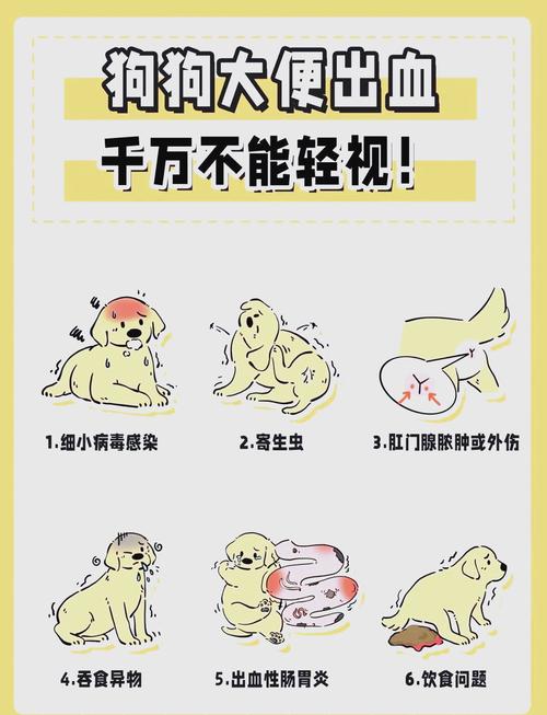 小狗狗拉血怎么回事，小狗狗拉出血来怎么办？