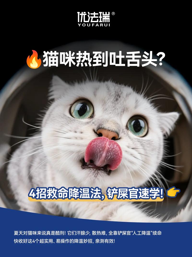 猫咪热了会吐舌头吗_猫咪太热吐舌头会不会中暑-第1张图片-后鲨宠物 猫咪热了会吐舌头吗_猫咪太热吐舌头会不会中暑-第1张图片-后鲨宠物