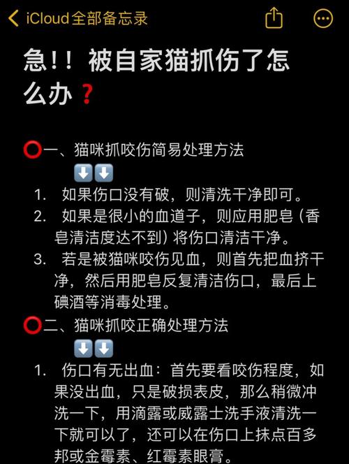猫咪乱抓东西怎么办_猫咪乱抓东西怎么引起的-第2张图片-后鲨宠物 猫咪乱抓东西怎么办_猫咪乱抓东西怎么引起的-第2张图片-后鲨宠物