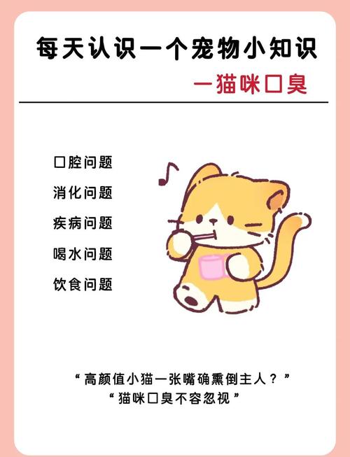 猫咪口臭怎么去除,猫猫口臭怎么治-第2张图片-后鲨宠物 猫咪口臭怎么去除,猫猫口臭怎么治-第2张图片-后鲨宠物