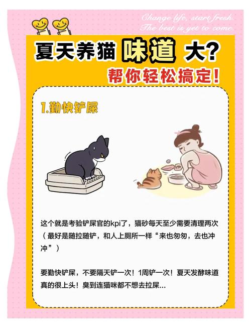 猫咪口臭怎么去除,猫猫口臭怎么治-第4张图片-后鲨宠物 猫咪口臭怎么去除,猫猫口臭怎么治-第4张图片-后鲨宠物