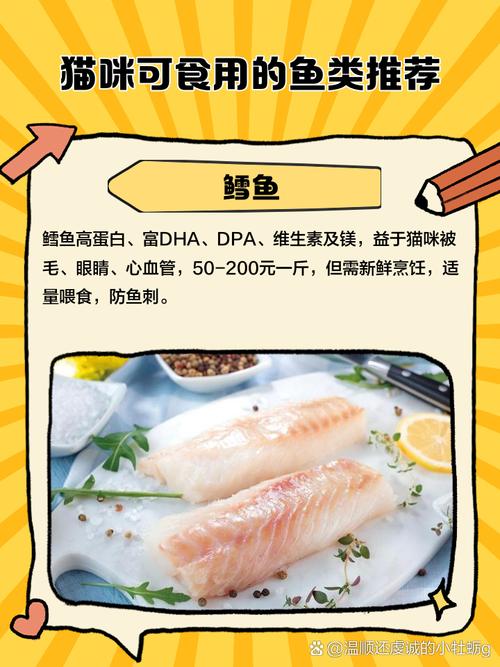 猫咪吃什么鱼最有营养_猫咪一般吃什么鱼-第1张图片-后鲨宠物 猫咪吃什么鱼最有营养_猫咪一般吃什么鱼-第1张图片-后鲨宠物