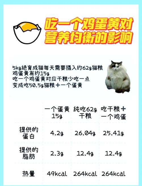小猫咪可以吃蛋黄吗,小猫能吃蛋黄吗会怎样-第1张图片-后鲨宠物 小猫咪可以吃蛋黄吗,小猫能吃蛋黄吗会怎样-第1张图片-后鲨宠物