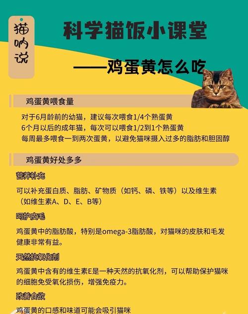 小猫咪可以吃蛋黄吗,小猫能吃蛋黄吗会怎样-第2张图片-后鲨宠物 小猫咪可以吃蛋黄吗,小猫能吃蛋黄吗会怎样-第2张图片-后鲨宠物