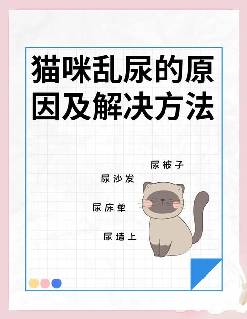 猫咪为什么突然乱尿_猫咪突然乱尿原因-第3张图片-后鲨宠物 猫咪为什么突然乱尿_猫咪突然乱尿原因-第3张图片-后鲨宠物