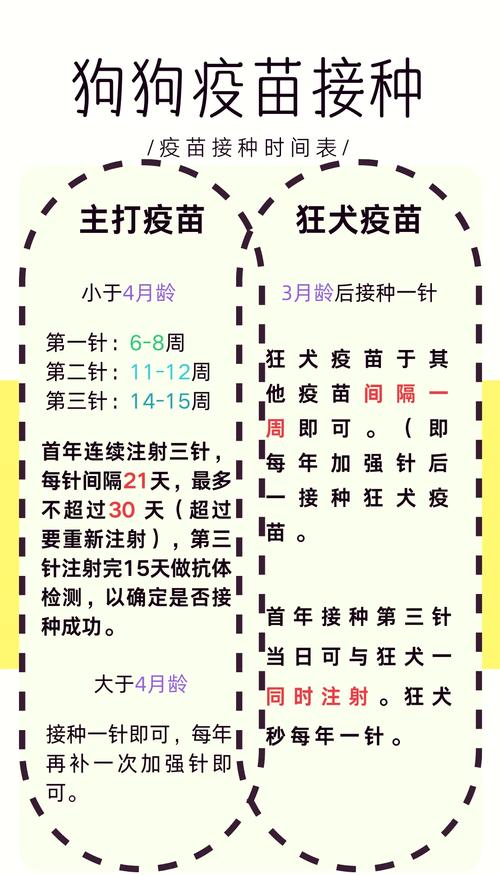 狗狗多大打疫苗合适,狗狗多大打预苗-第2张图片-后鲨宠物 狗狗多大打疫苗合适,狗狗多大打预苗-第2张图片-后鲨宠物