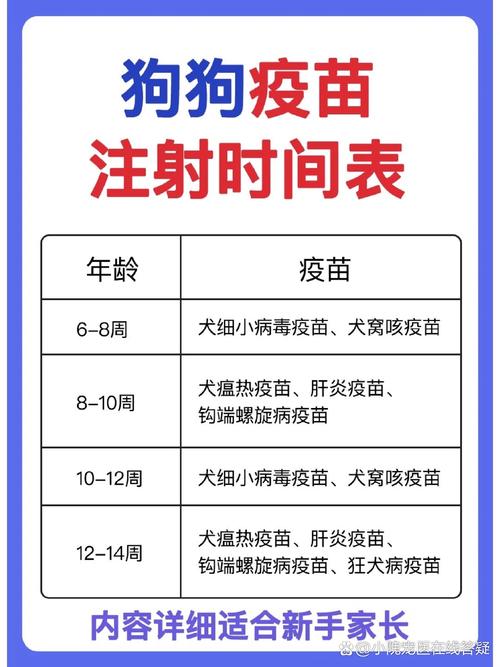  狗狗几个月开始打疫苗，狗狗几个月开始打疫苗比较好-第3张图片-后鲨宠物
