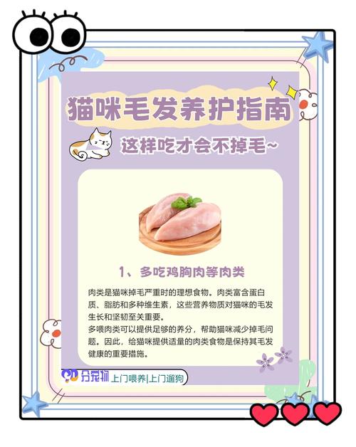 猫咪吃什么对毛发好_猫咪吃什么可以促进毛发生长-第1张图片-后鲨宠物 猫咪吃什么对毛发好_猫咪吃什么可以促进毛发生长-第1张图片-后鲨宠物