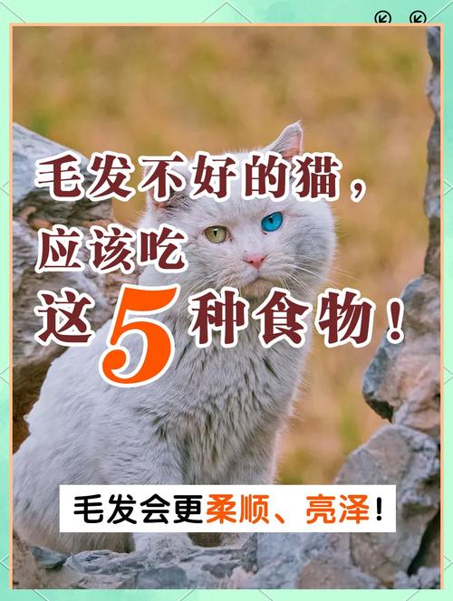 猫咪吃什么对毛发好_猫咪吃什么可以促进毛发生长-第2张图片-后鲨宠物 猫咪吃什么对毛发好_猫咪吃什么可以促进毛发生长-第2张图片-后鲨宠物