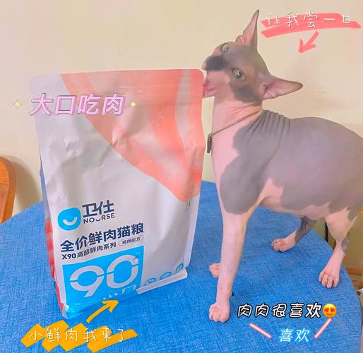 猫咪吃什么对毛发好_猫咪吃什么可以促进毛发生长-第3张图片-后鲨宠物 猫咪吃什么对毛发好_猫咪吃什么可以促进毛发生长-第3张图片-后鲨宠物