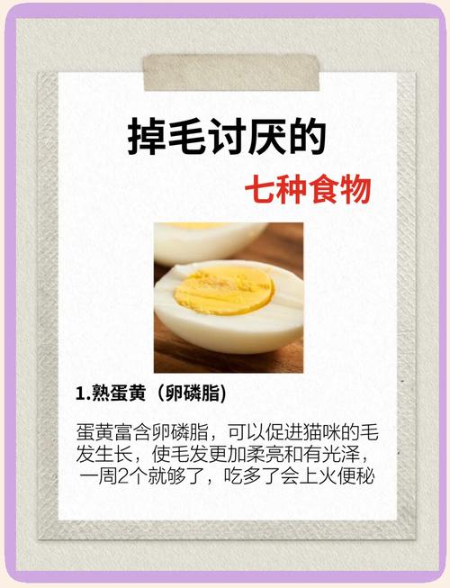 猫咪吃什么对毛发好_猫咪吃什么可以促进毛发生长-第4张图片-后鲨宠物 猫咪吃什么对毛发好_猫咪吃什么可以促进毛发生长-第4张图片-后鲨宠物