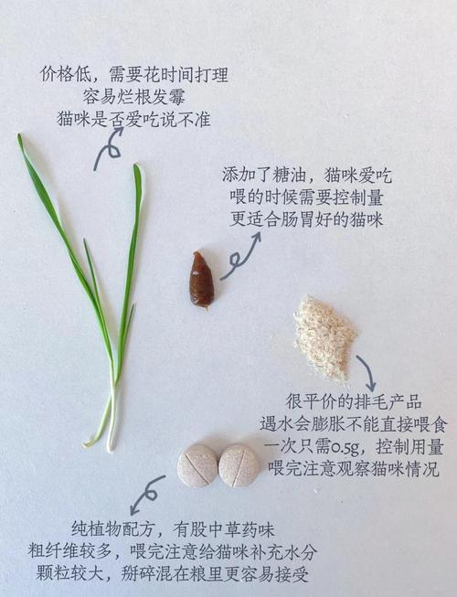 猫咪吃什么对毛发好_猫咪吃什么可以促进毛发生长-第5张图片-后鲨宠物 猫咪吃什么对毛发好_猫咪吃什么可以促进毛发生长-第5张图片-后鲨宠物