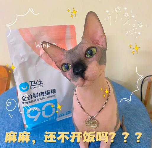 猫咪吃什么对毛发好_猫咪吃什么可以促进毛发生长-第6张图片-后鲨宠物 猫咪吃什么对毛发好_猫咪吃什么可以促进毛发生长-第6张图片-后鲨宠物