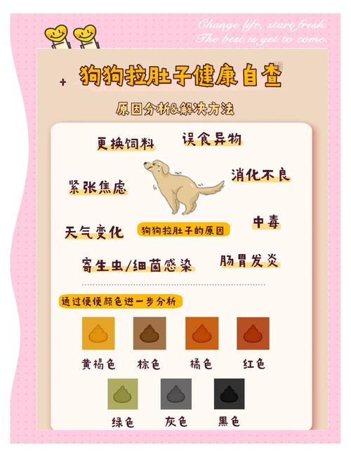 狗狗拉黑屎怎么回事_狗狗拉黑便怎么回事及治疗