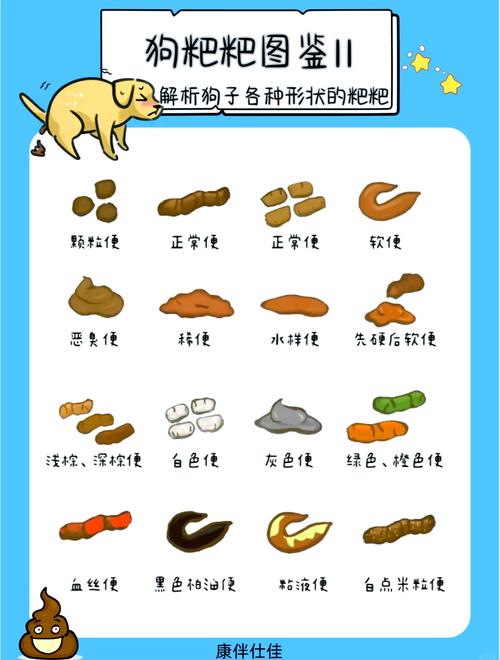 狗狗拉黑屎怎么回事_狗狗拉黑便怎么回事及治疗-第2张图片-后鲨宠物
